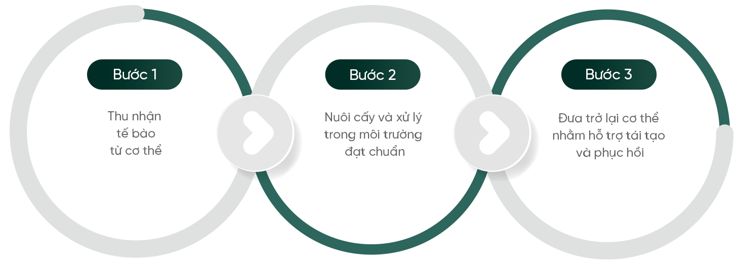 Infographic 1